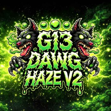 g13-dawg-haze-monkey-genetics g13-dawg-haze-monkey-genetics
