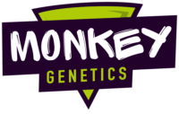 Monkey Genetics