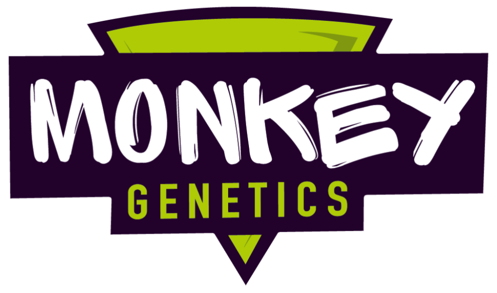 Monkey Genetics