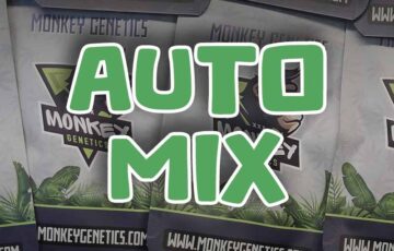 auto mix