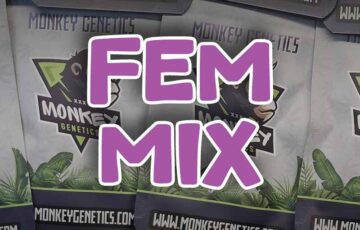 fem mix