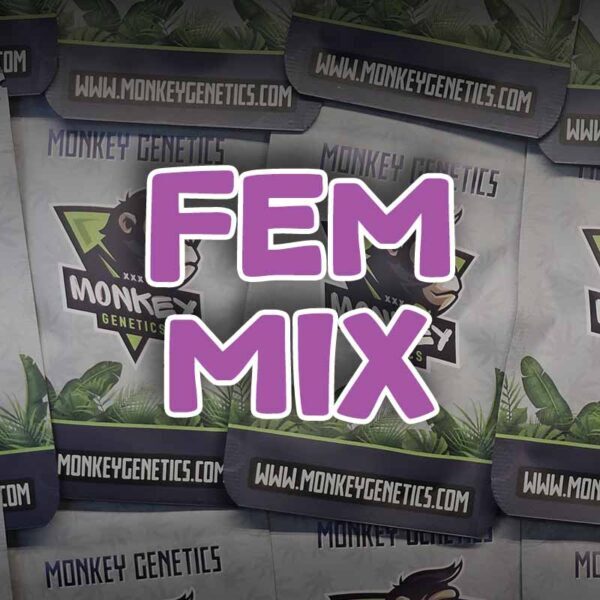 Feminized Mix