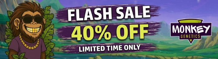 40 off flash sale monkey genetics