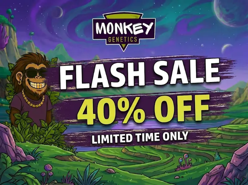 40 off flash sale monkey genetics12. mail web. webp1